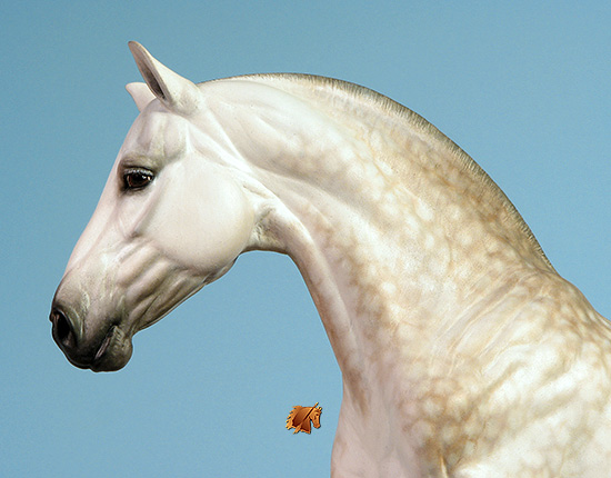 Tumlinson Catalina painted by C. Williams