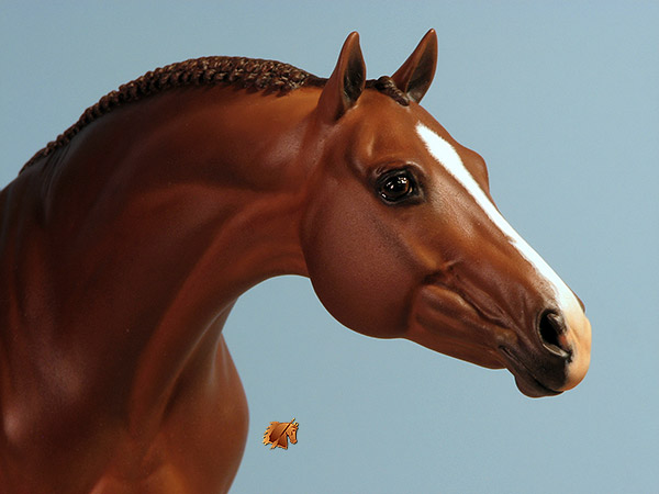 Eberl LaNuova painted by C. Williams