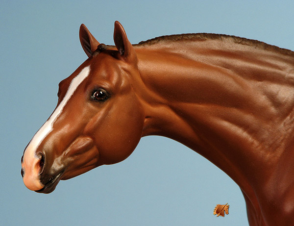 Eberl LaNuova painted by C. Williams