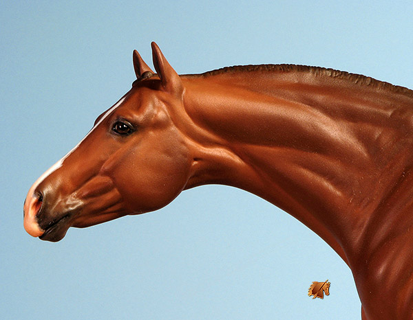 Eberl LaNuova painted by C. Williams