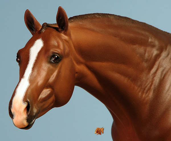 Eberl LaNuova painted by C. Williams