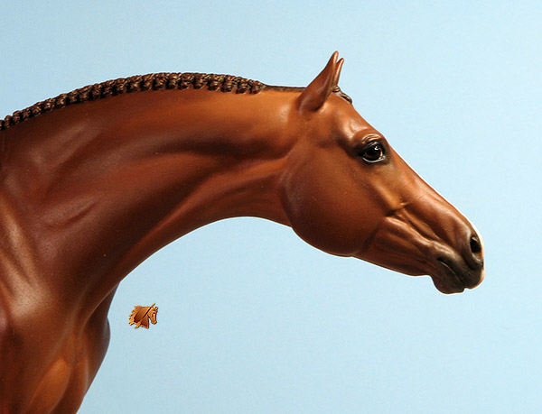 Eberl LaNuova painted by C. Williams