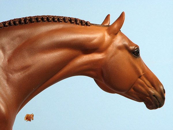 Eberl LaNuova painted by C. Williams