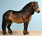 Painted by C. Williams