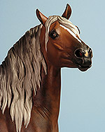 Painted by C. Williams