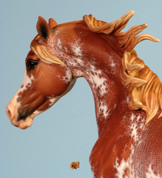 Breyer Weathergirl Custom work by Rayvin Maddock painted by C. Williams