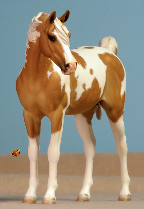 Vingerling Adib painted by C. Williams