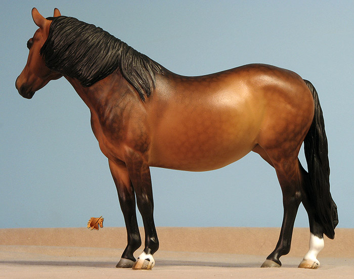 Eberl Welsh Pony painted by C. Williams