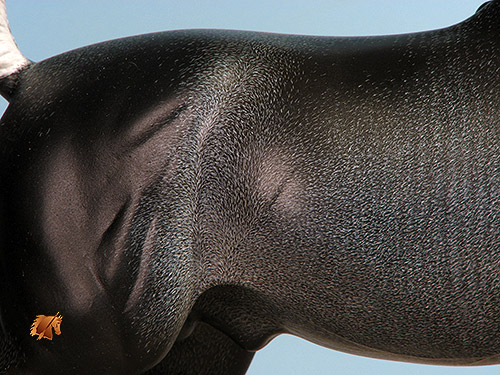 McDermott Luxor painted by C. Williams