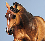 Painted by C. Williams