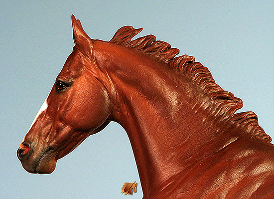 Scott Anise painted by C. Williams