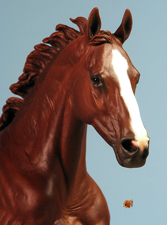 Scott Anise painted by C. Williams