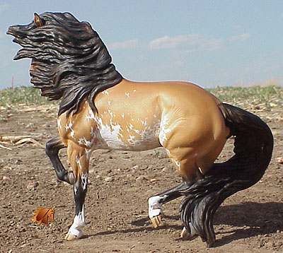 Minkiewicz-Breunig Tango painted by C. Williams