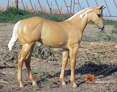 Peter Stone PDD painted by C. Williams