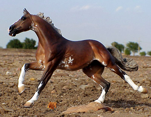 Minkiewicz-Breunig Valinor painted by C. Williams