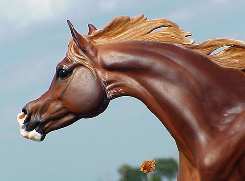 Minkiewicz-Breunig Saadiqah painted by C. Williams