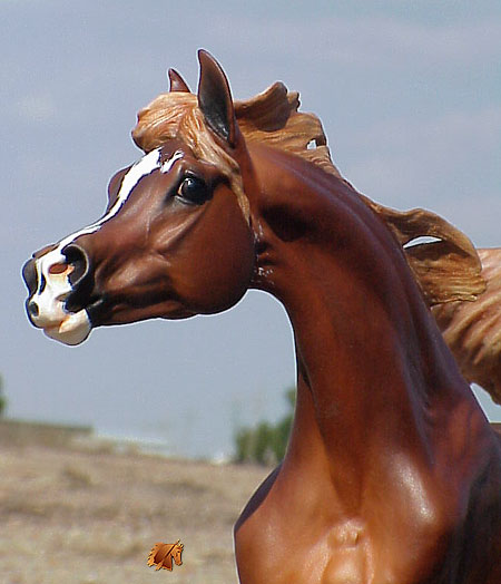 Minkiewicz-Breunig Saadiqah painted by C. Williams