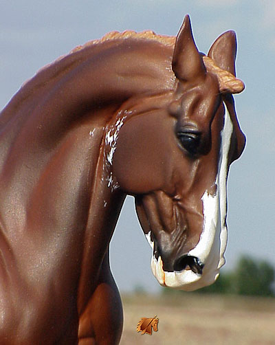 Eberl Willoughby painted by C. Williams