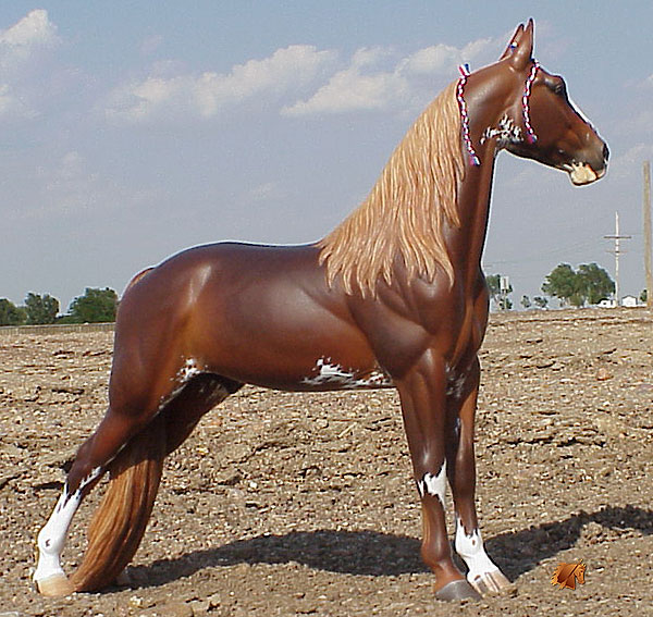 Rose Independence painted by C. Williams