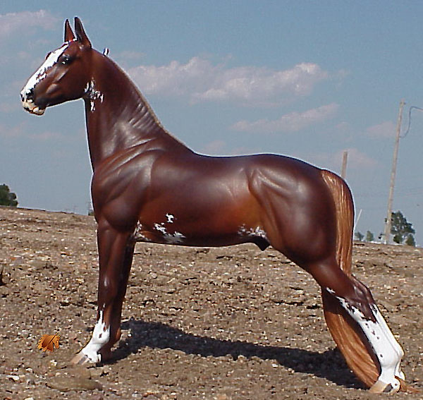 Rose Independence painted by C. Williams