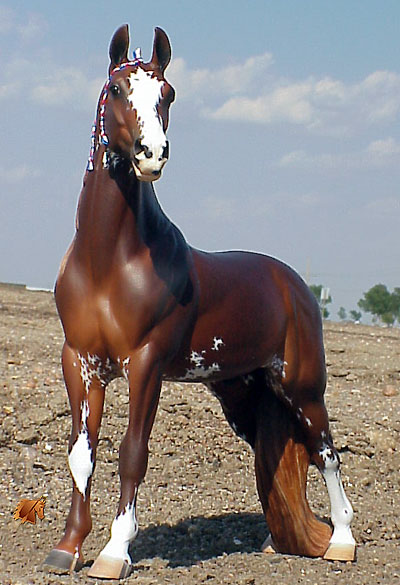 Rose Independence painted by C. Williams