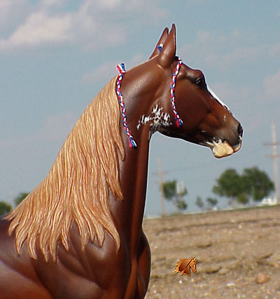 Rose Independence painted by C. Williams