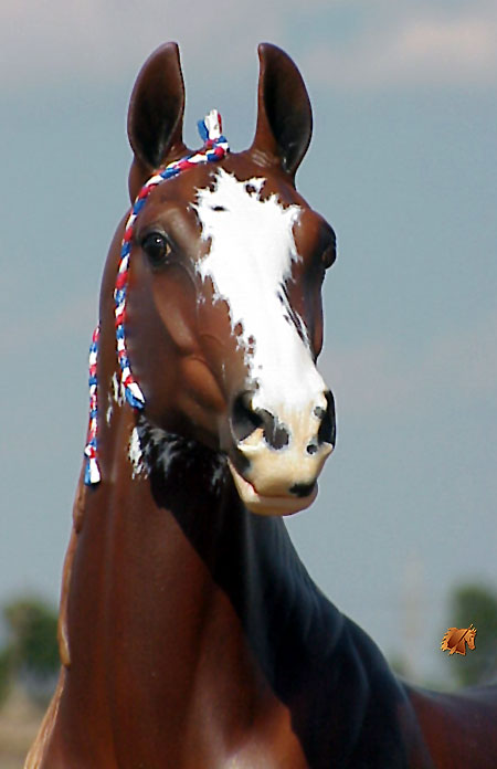 Rose Independence painted by C. Williams