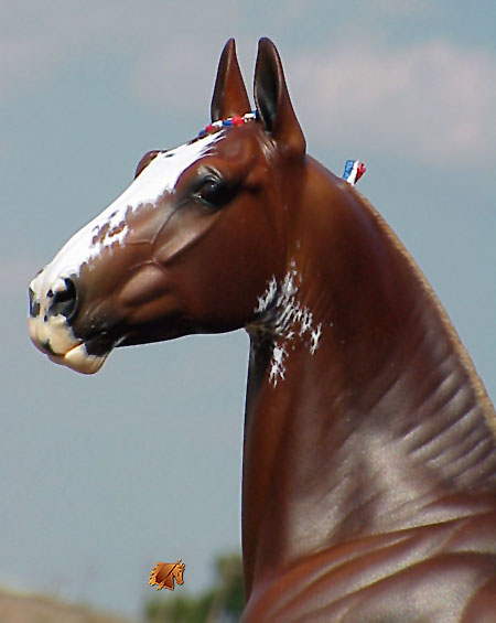 Rose Independence painted by C. Williams