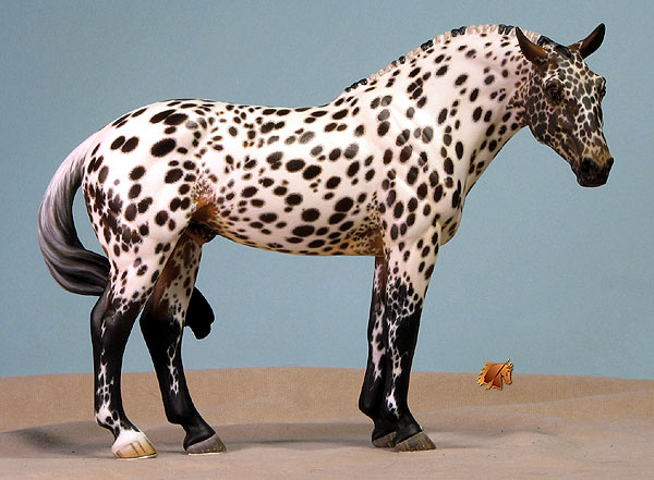 Caller Dante painted by C. Williams