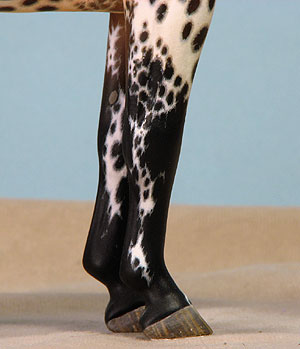 Caller Dante painted by C. Williams