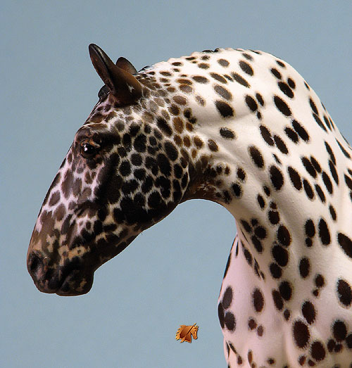 Caller Dante painted by C. Williams