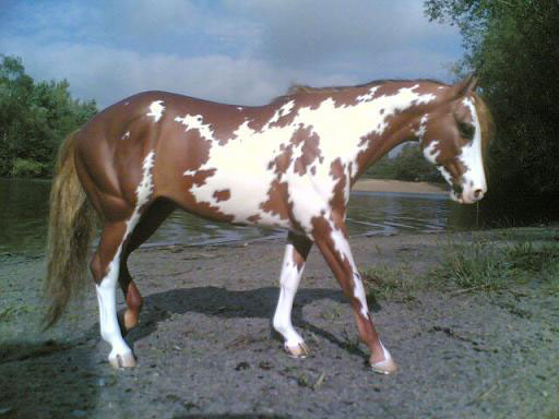 Garstka Ravin SanLena painted by C. Williams