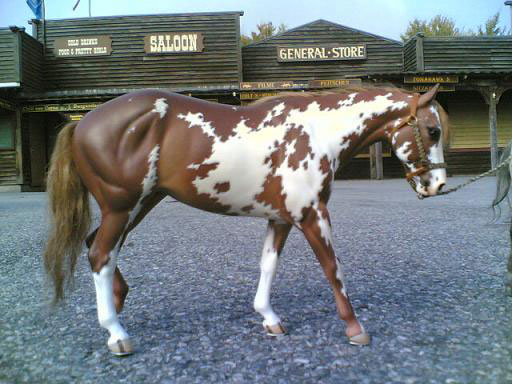 Garstka Ravin SanLena painted by C. Williams