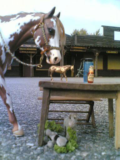 Garstka Ravin SanLena painted by C. Williams