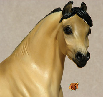 Prosser Timothy painted by C. Williams