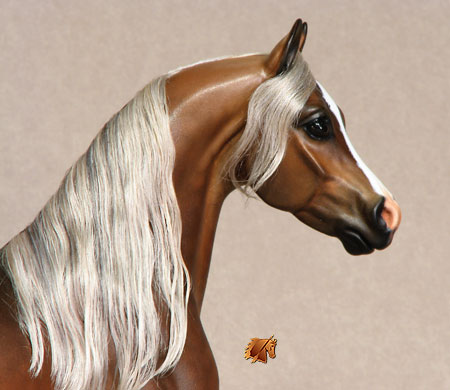 Prosser Timothy painted by C. Williams