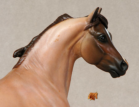 Prosser Timothy painted by C. Williams