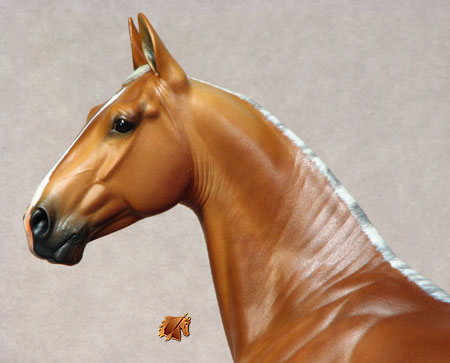 Rose Independence painted by C. Williams