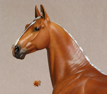 Rose Independence painted by C. Williams