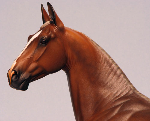 Rose Independence painted by C. Williams