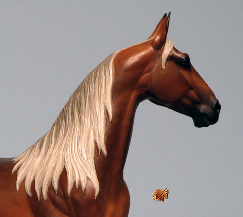 Rose Independence painted by C. Williams