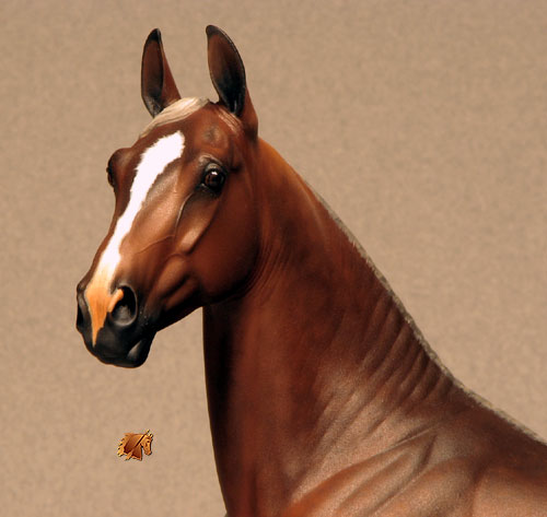 Rose Independence painted by C. Williams