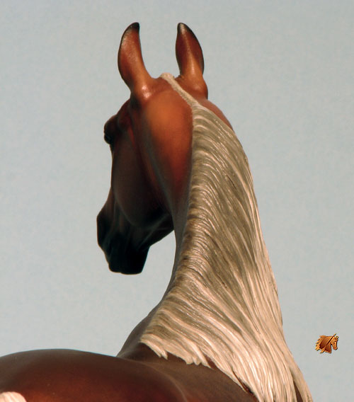 Rose Independence painted by C. Williams