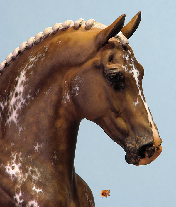 Eberl Valentino painted by C. Williams