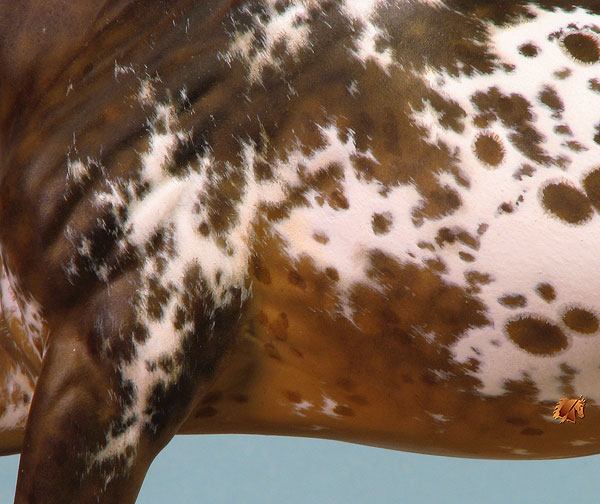 Eberl Valentino painted by C. Williams