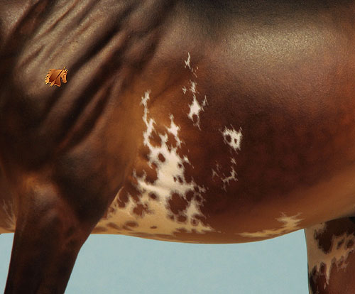 Eberl Valentino painted by C. Williams