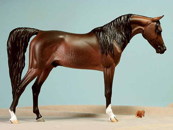 Fraley Raakid painted by C. Williams