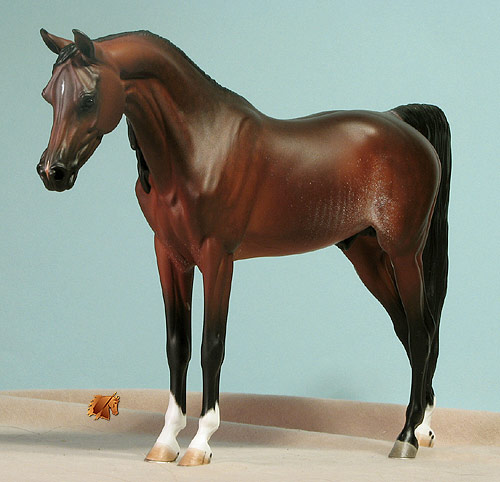 Fraley Raakid painted by C. Williams