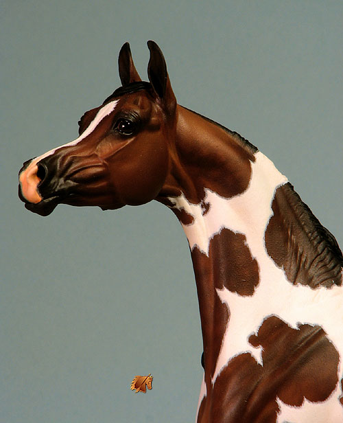 Tumlinson Giselle painted by C. Williams