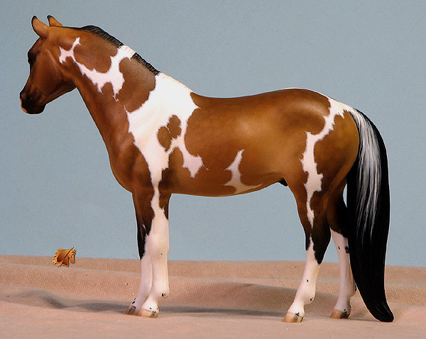 Nandell Fancy Enuf painted by C. Williams